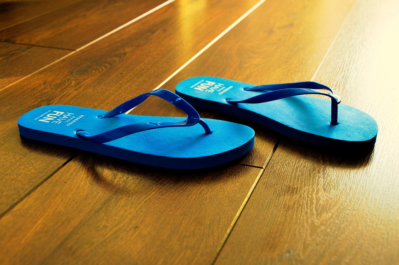 flip flops summer blue free photo