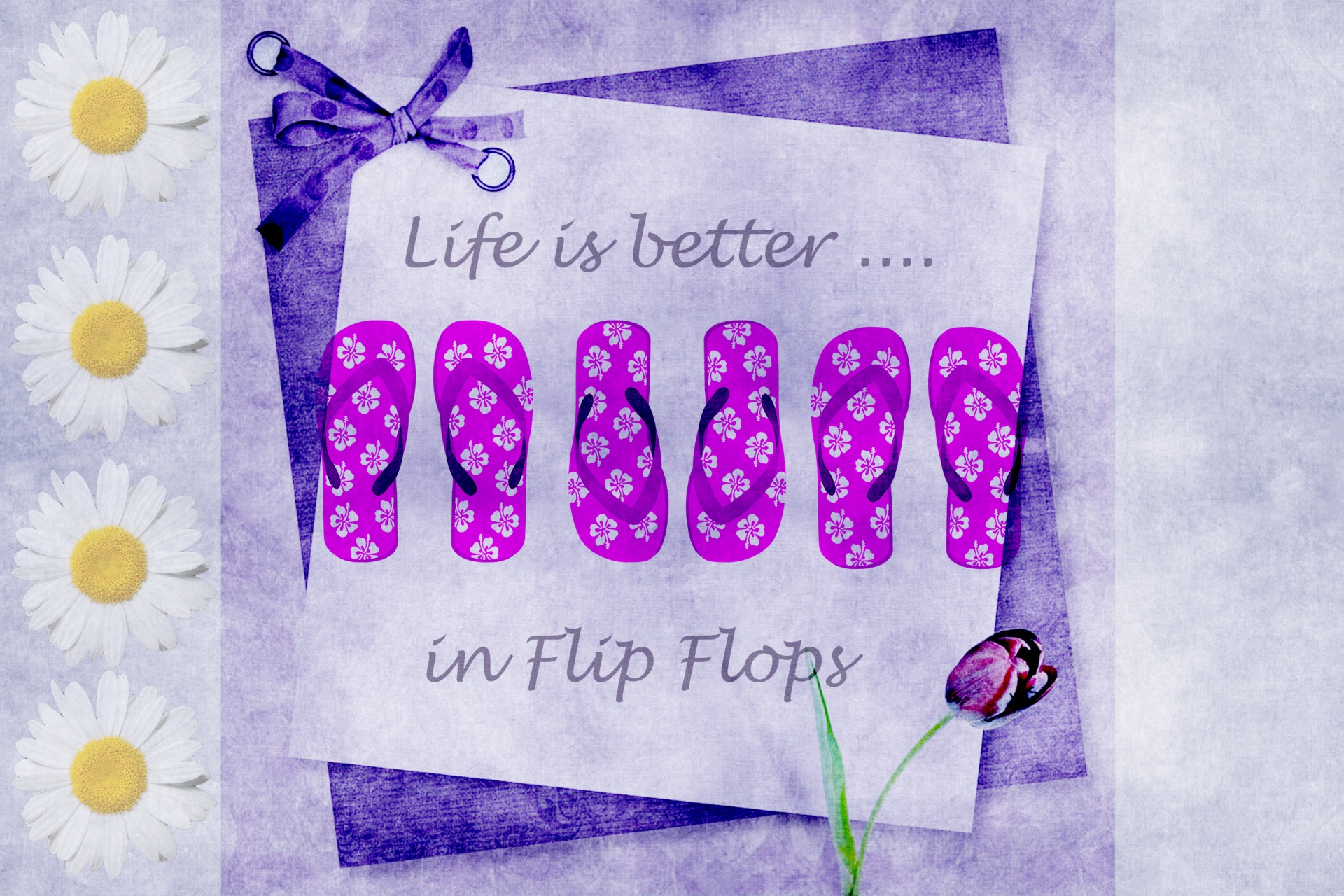 flip flops purple daisy free photo