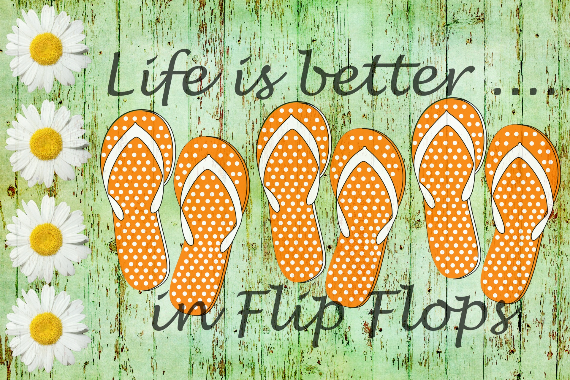 flip flops thongs orange free photo