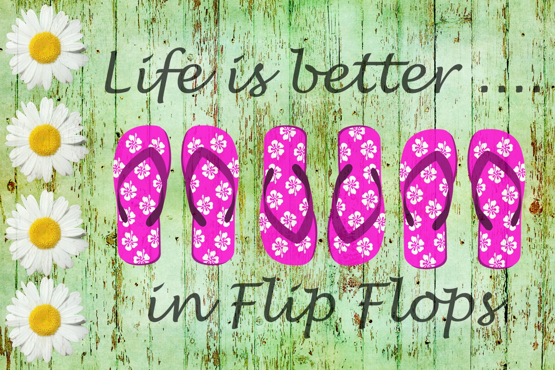 flip flops thongs footwear free photo