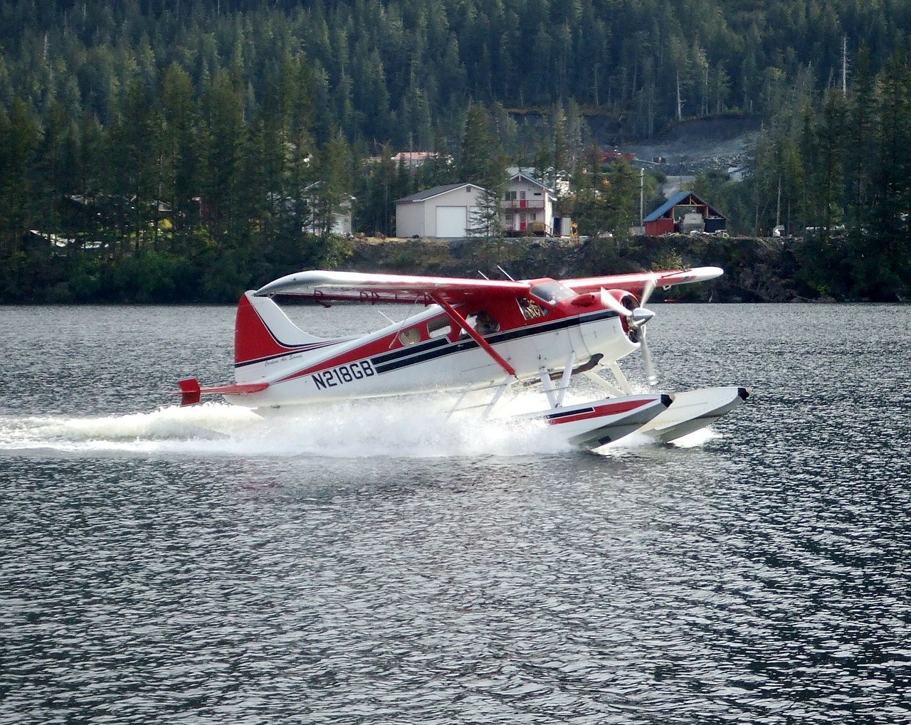 float plane seaplane flying free photo