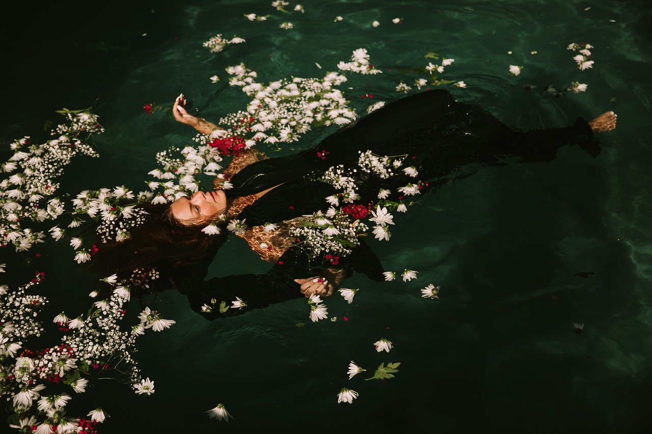 floating flowers petals free photo