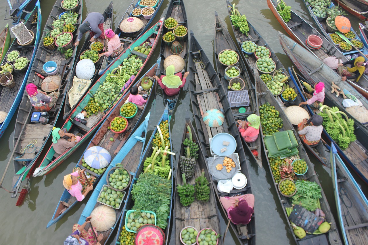 floating  market  lok baintan free photo