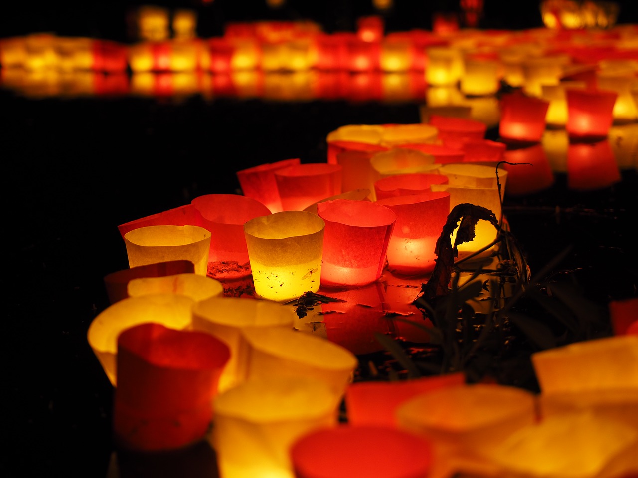 floating candles candles lights serenade free photo
