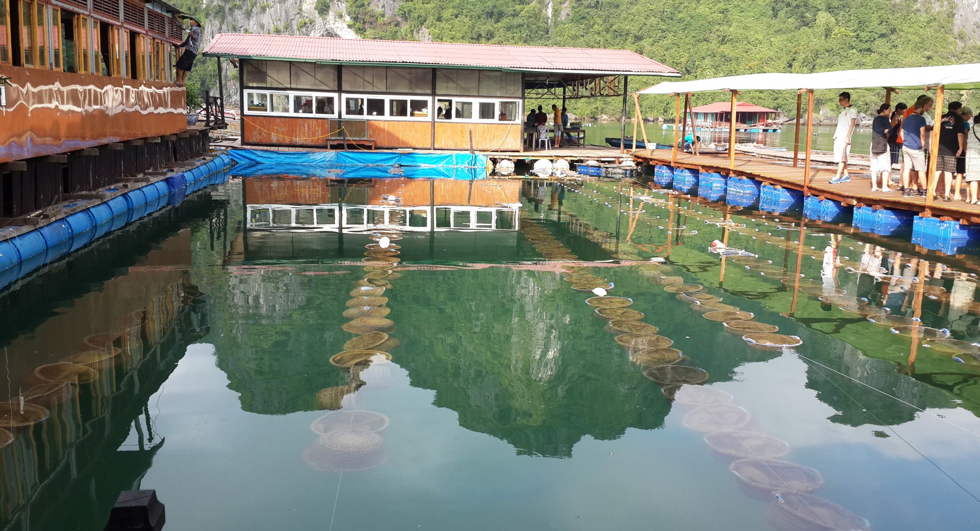 floating fishing village halong bay oysters farming free photo