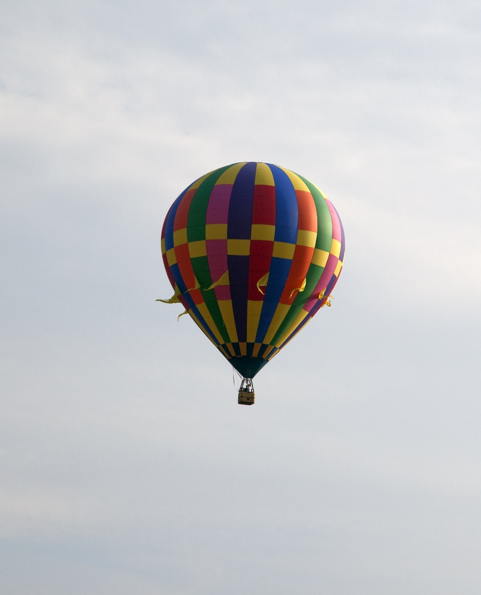 hot air balloon rising free photo