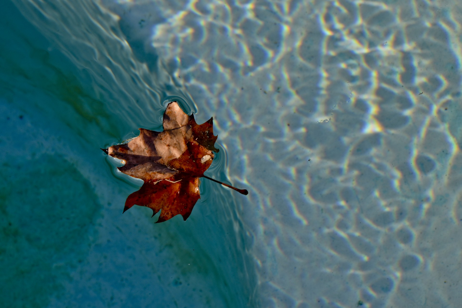 swimming pool deck free photo