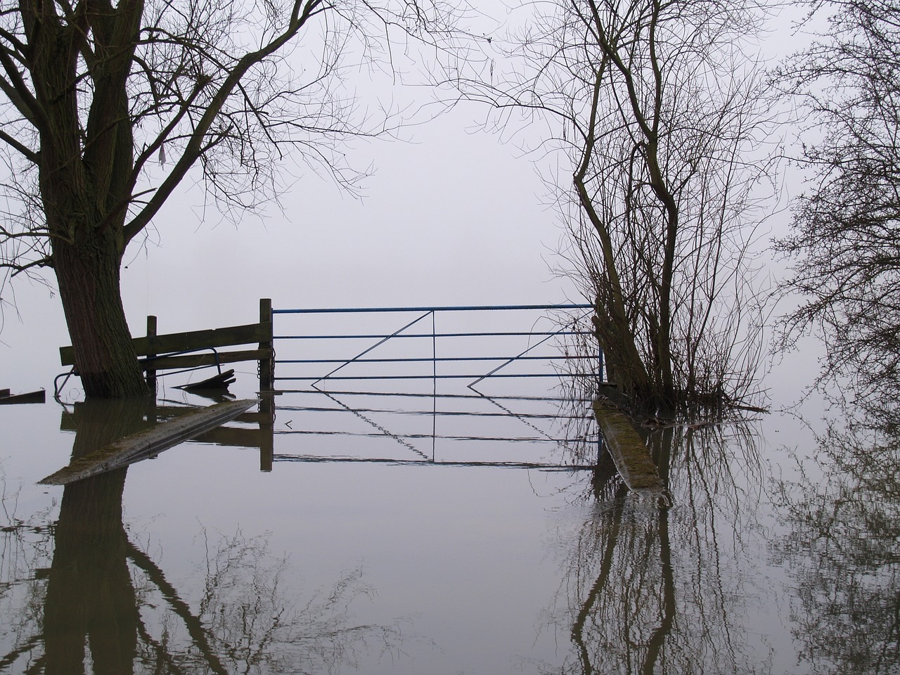 flood misty farm free photo