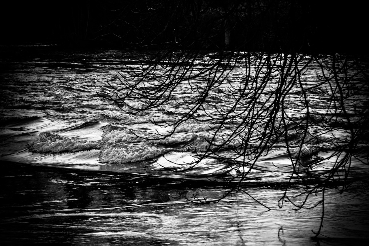 flood of meuse free photo