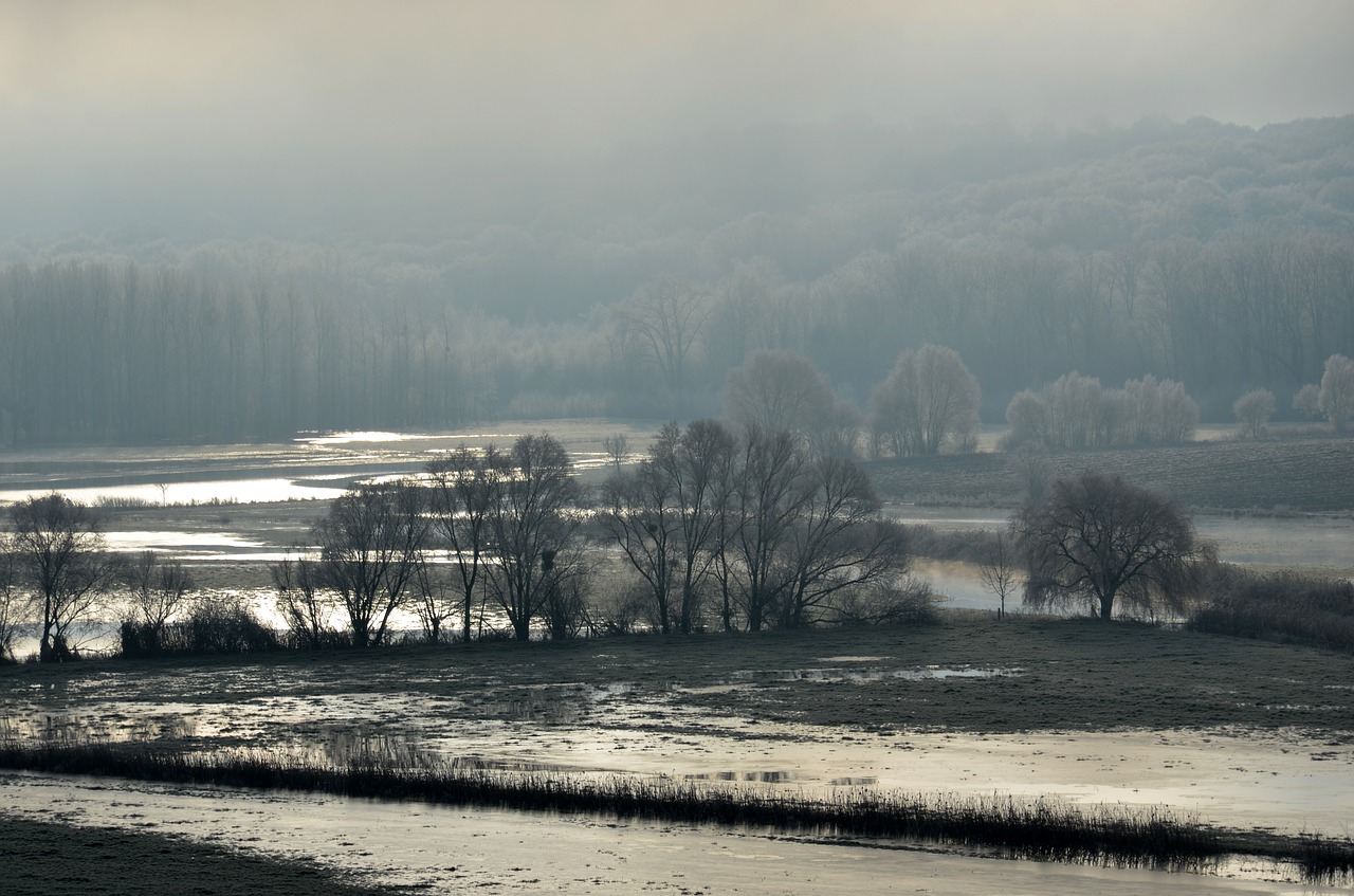 flood  winter  landscape free photo