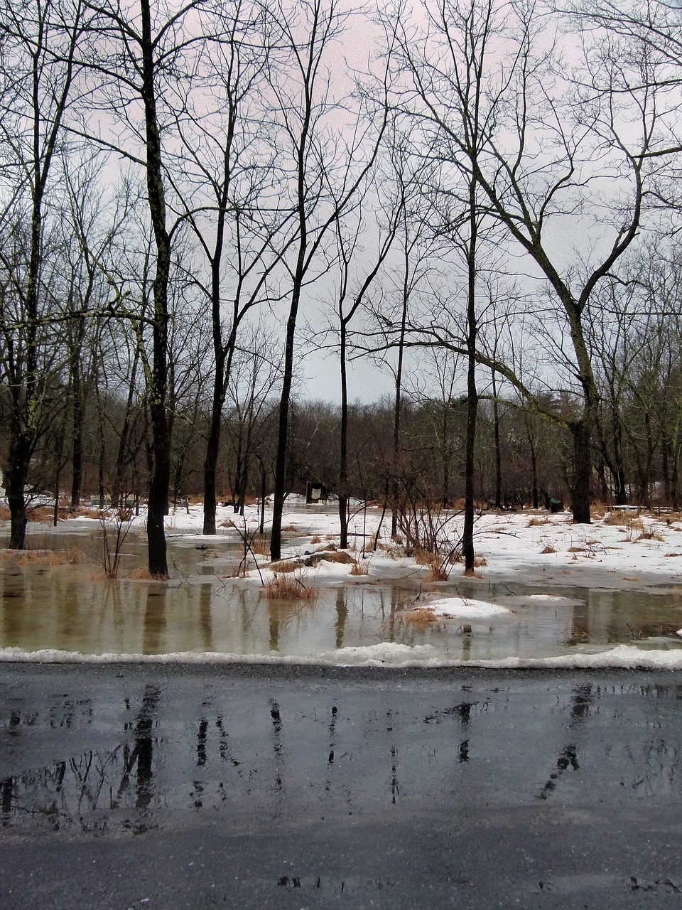 flood  snow  winter free photo