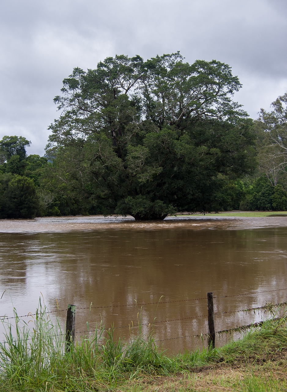 flood water river free photo