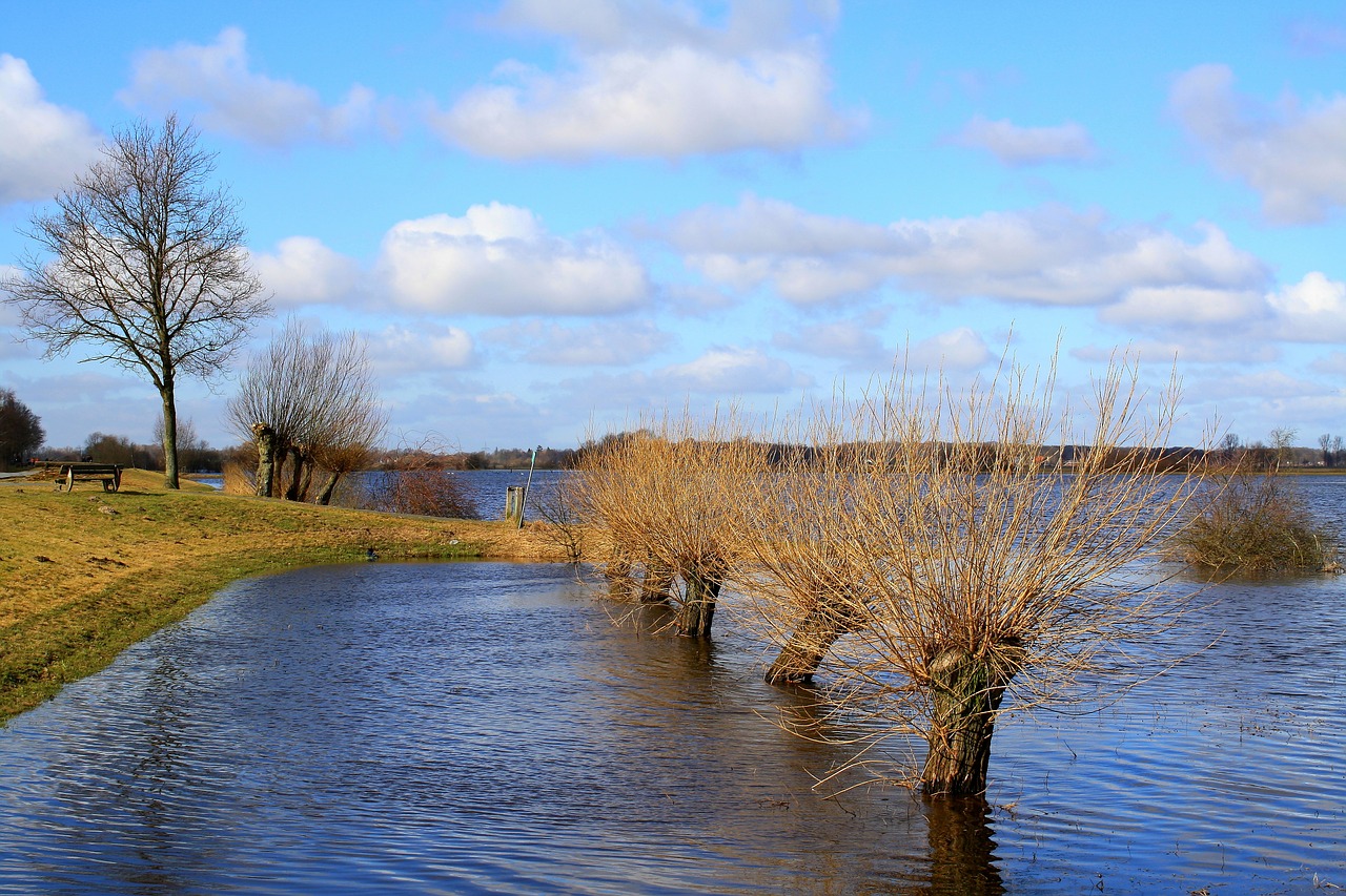 flood fields pasture trees free photo