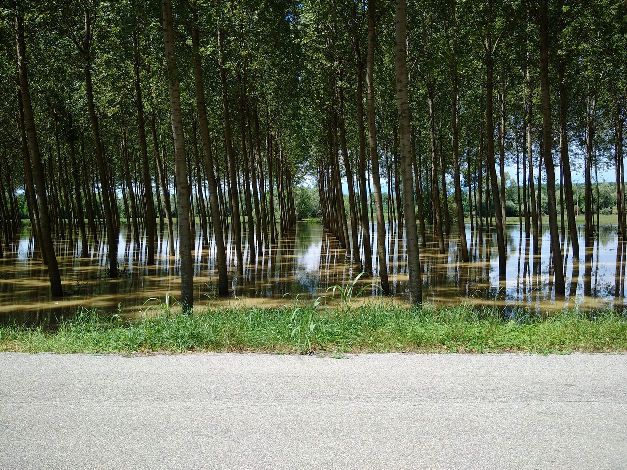 flood water river free photo