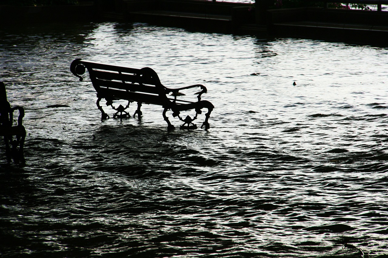 flood seat chair free photo