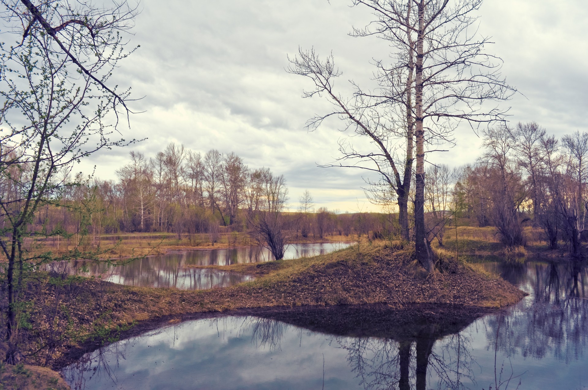 landscape spring rain free photo