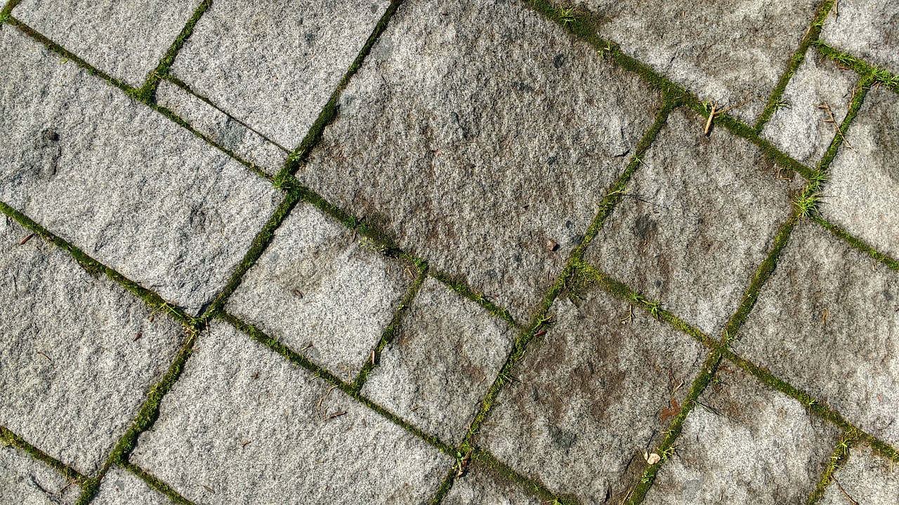 floor texture moss free photo