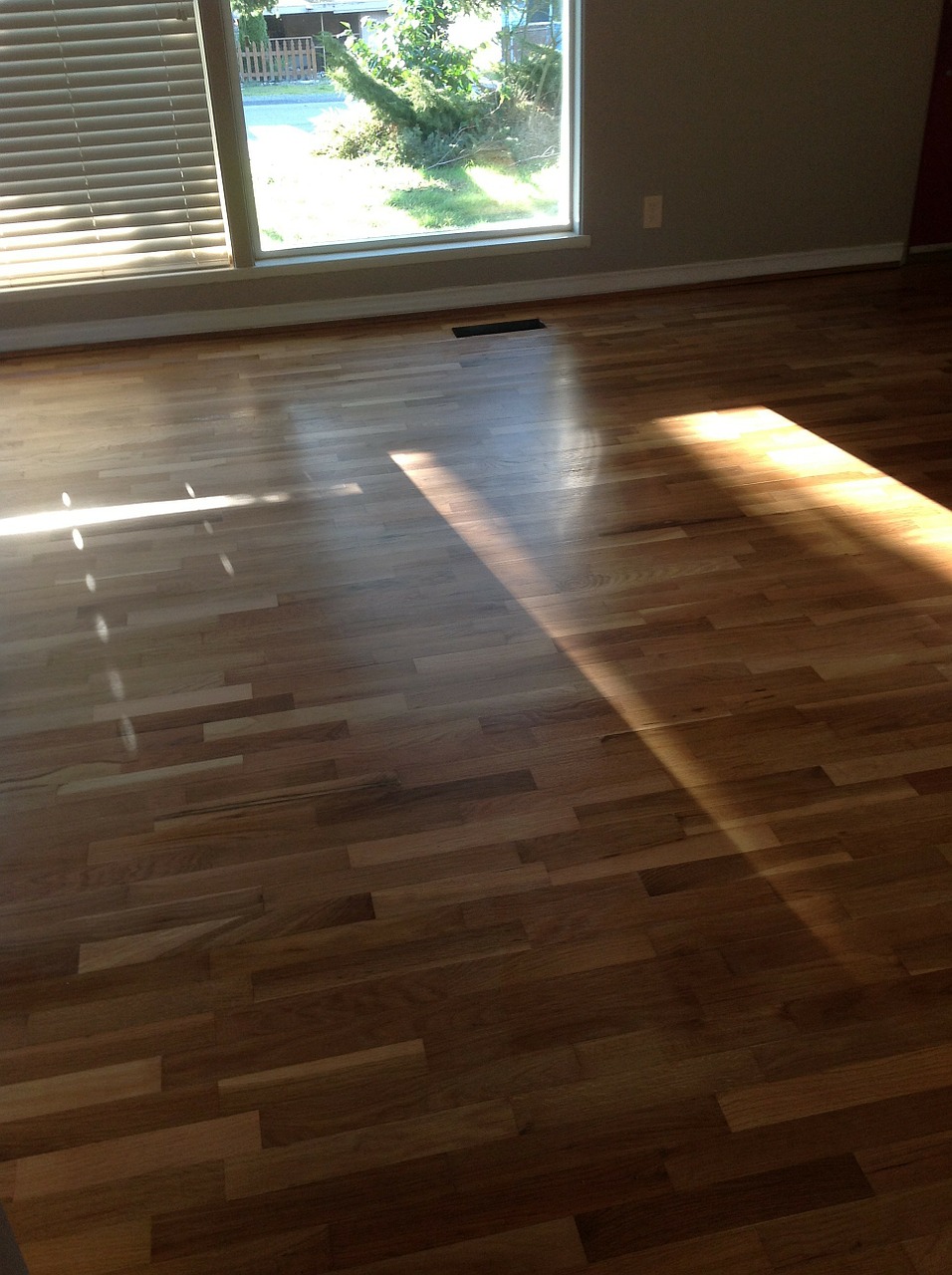 floor hardwood flooring free photo