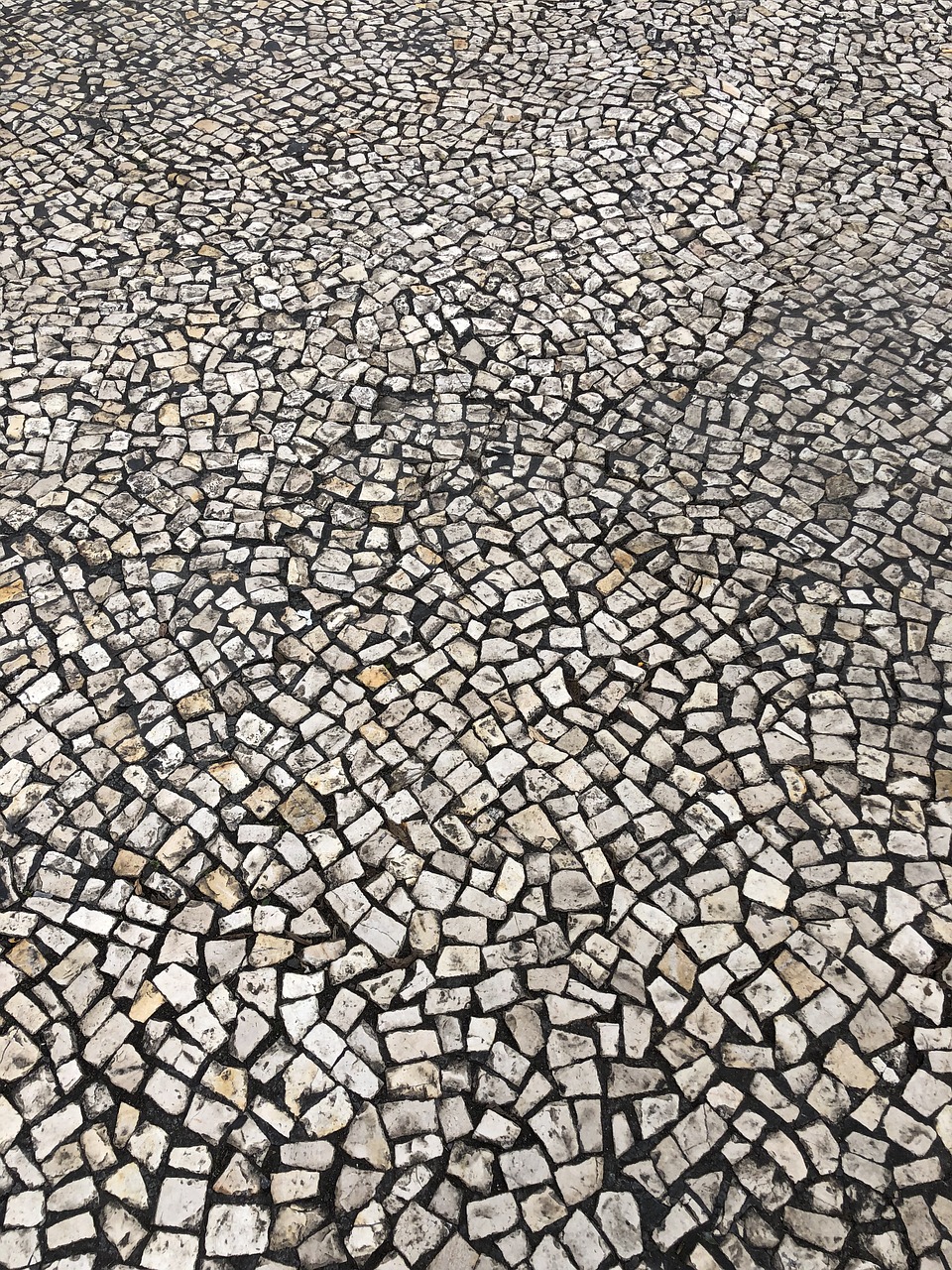 floor  mosaic  path free photo