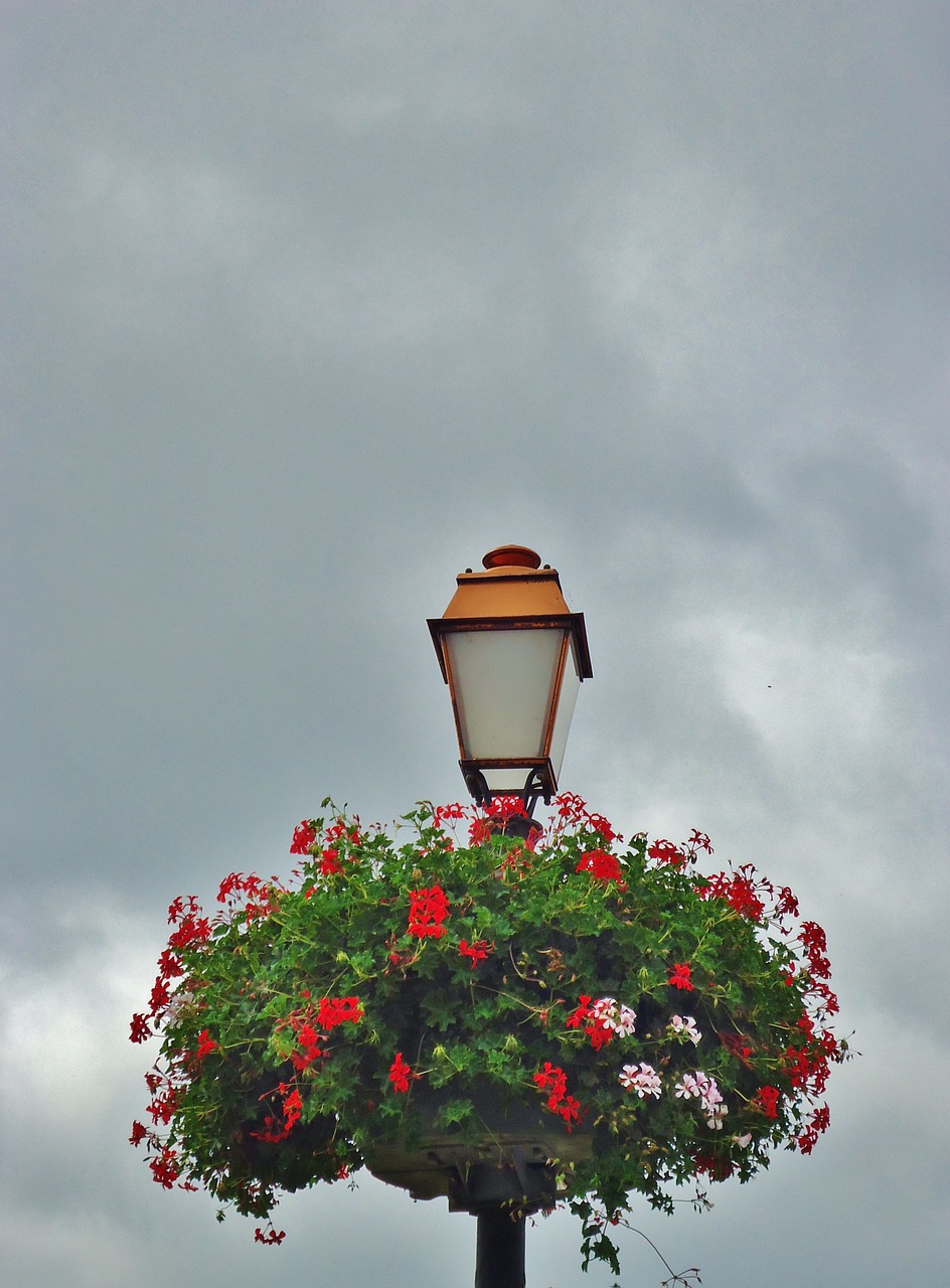 floor lamp flowers light free photo