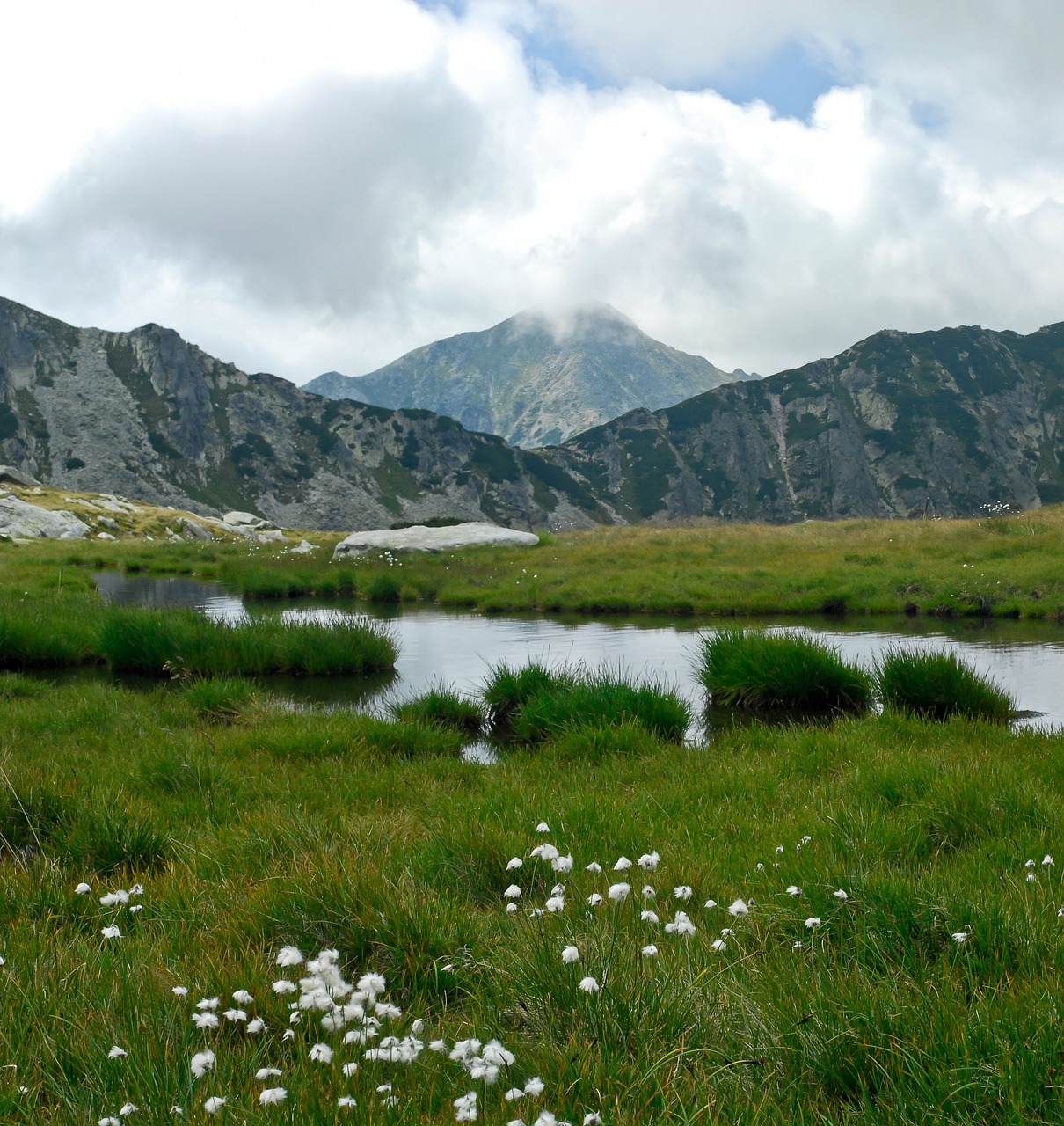 flora mountain lake free photo