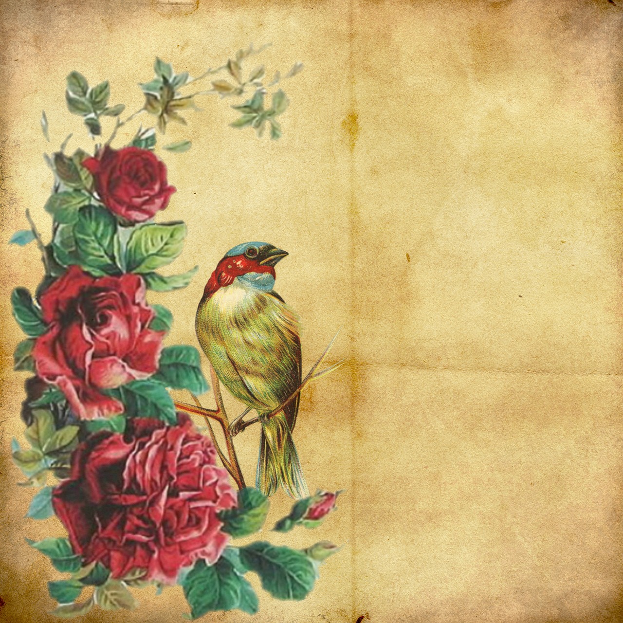 Vintage Pink Rose Parchment Old Paper Background