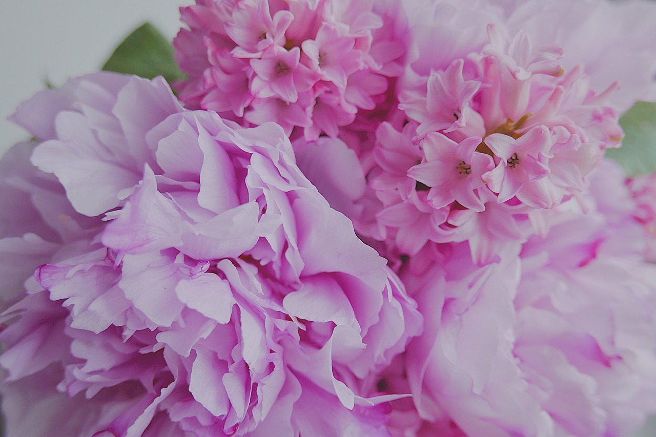 floral wedding pink free photo