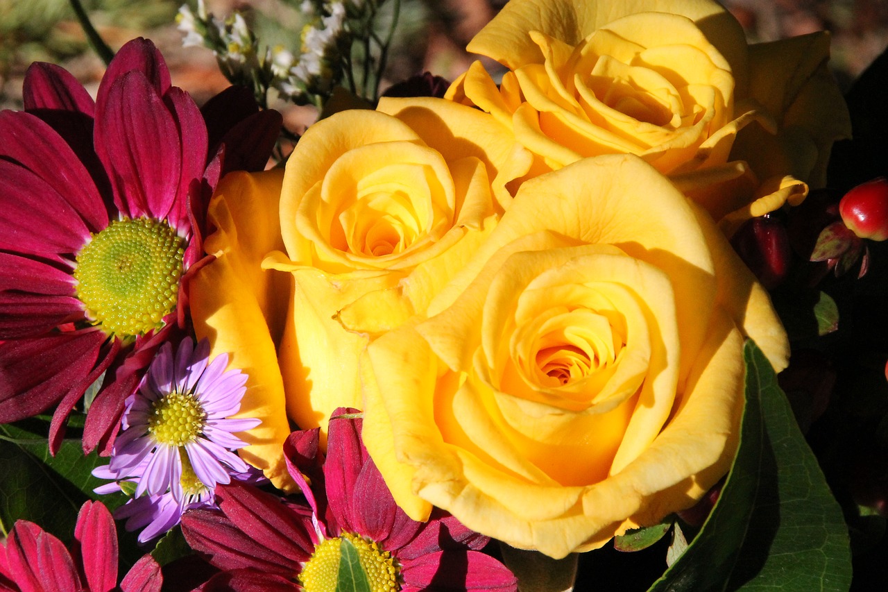 floral blossoms backdrop free photo