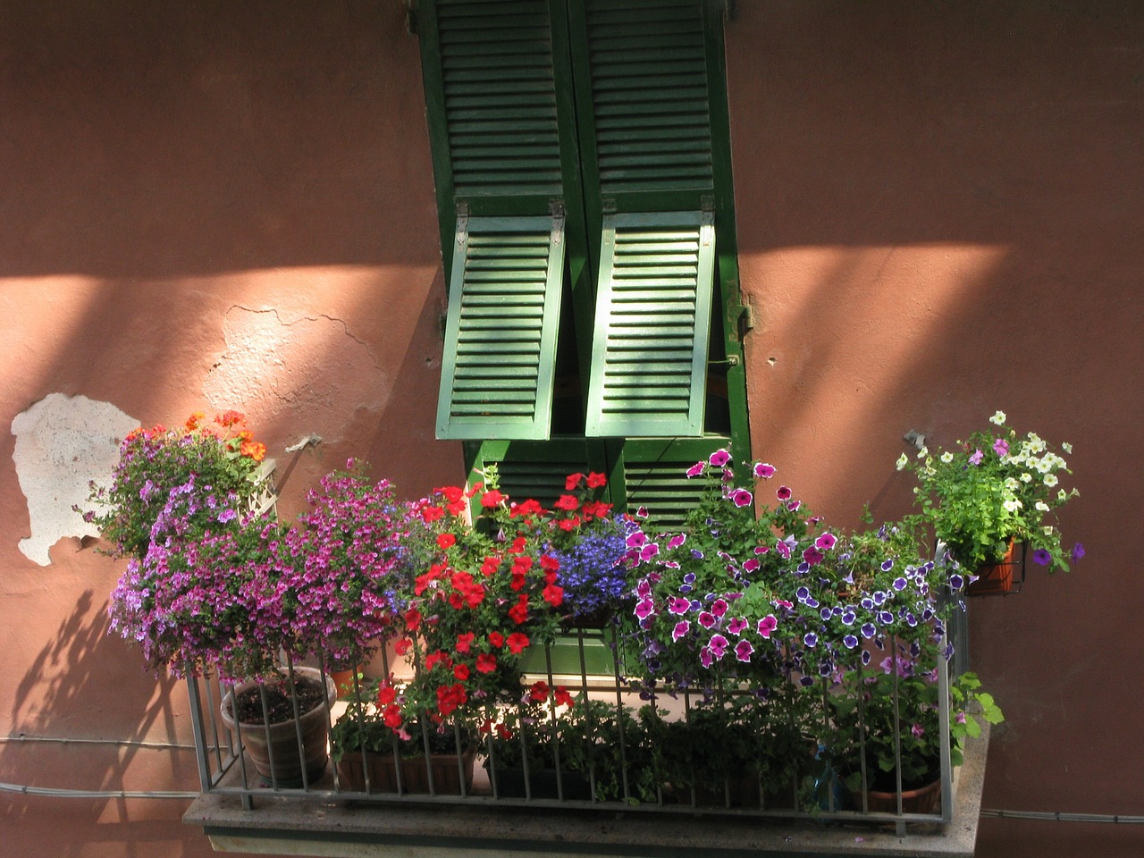 floral windows spring free photo