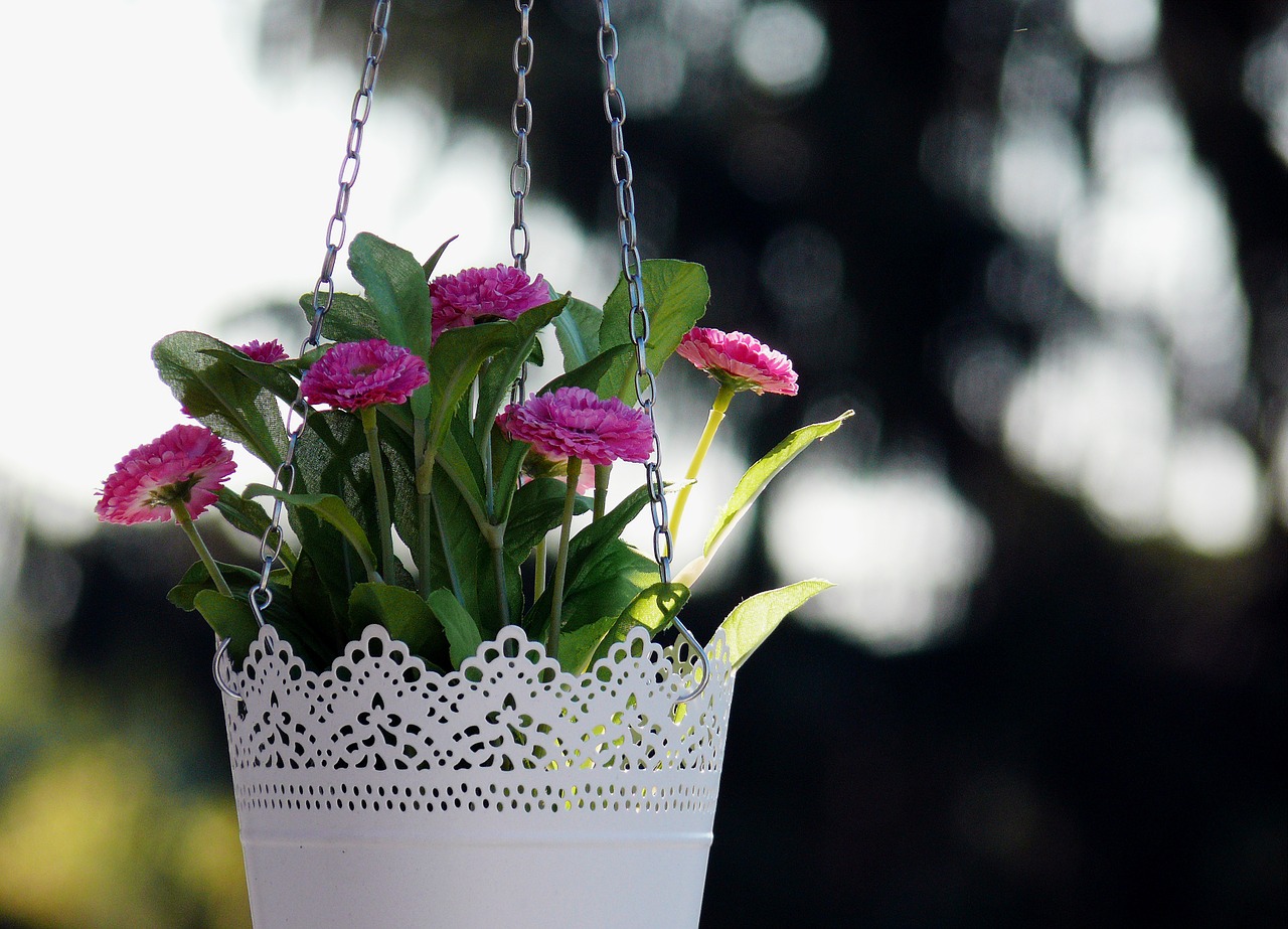 floral flowers hanging basket free photo