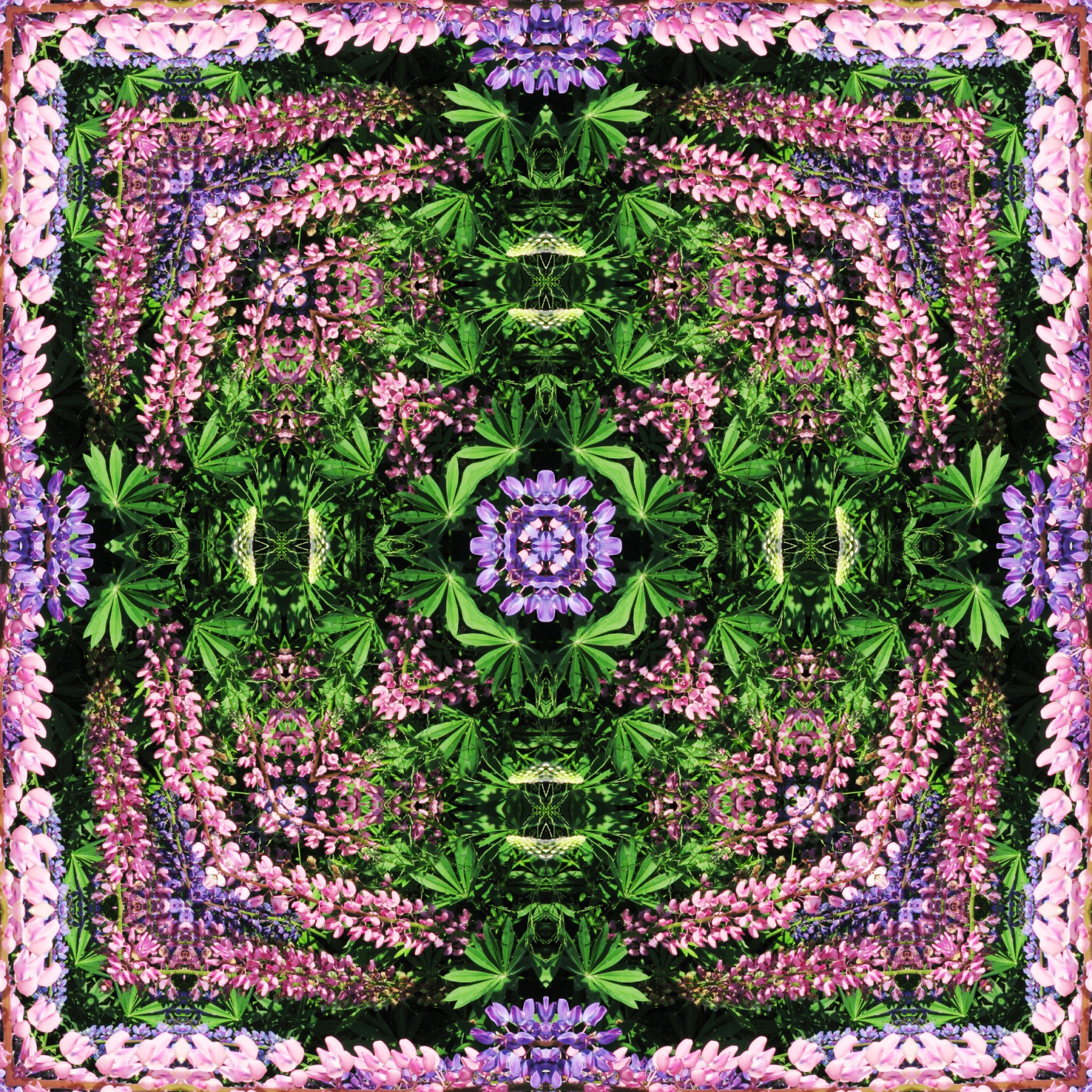 floral background kaleidoscope kaleidoscopic free photo
