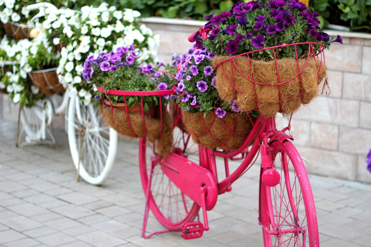 floral bike garden decoration free photo