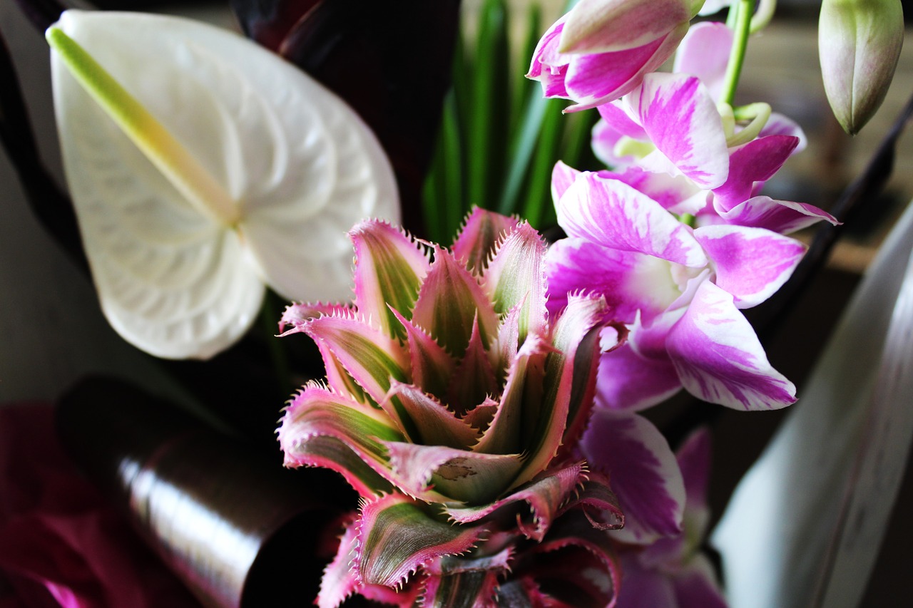 floral composition pineapple orchid free photo