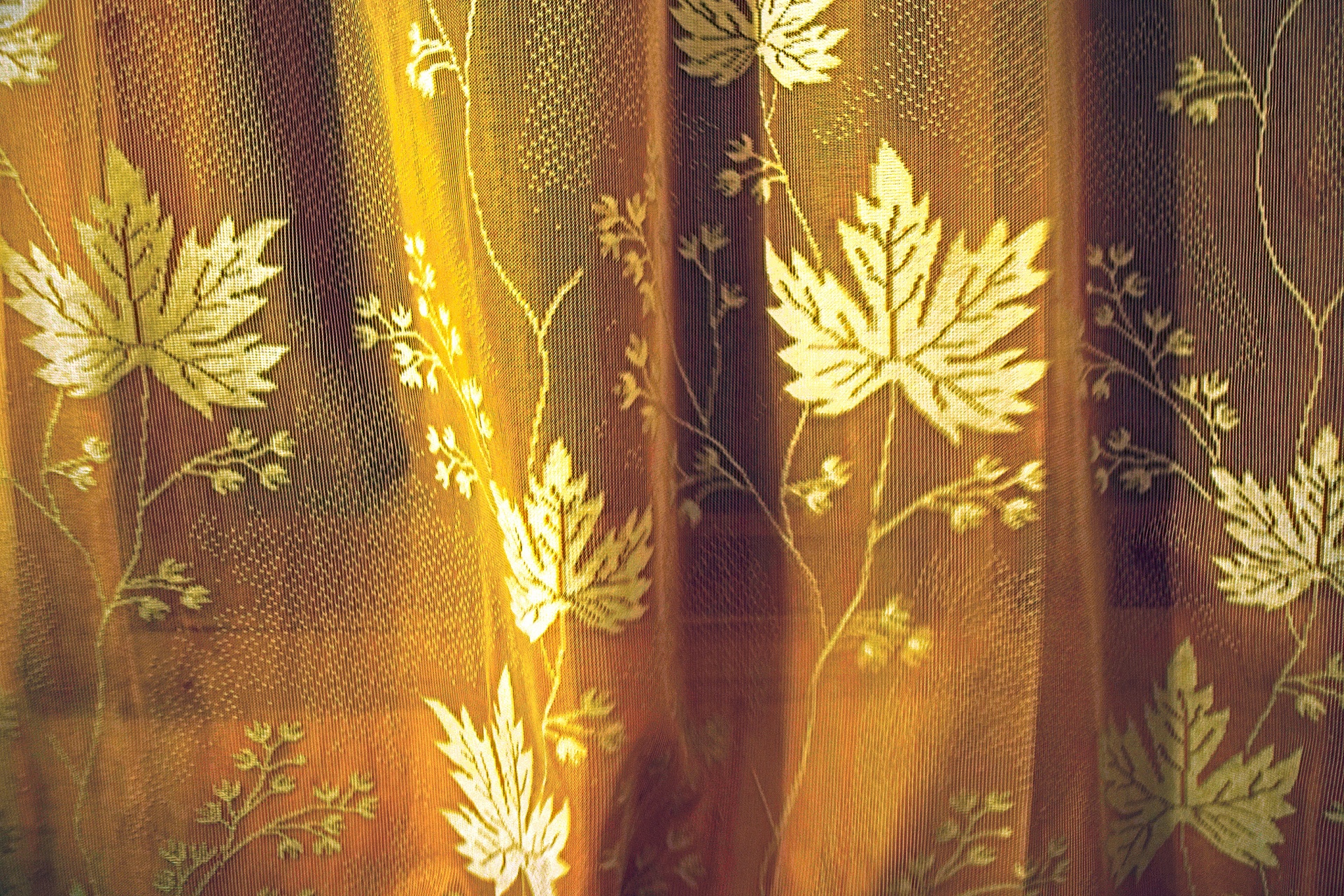 floral curtain screen free photo