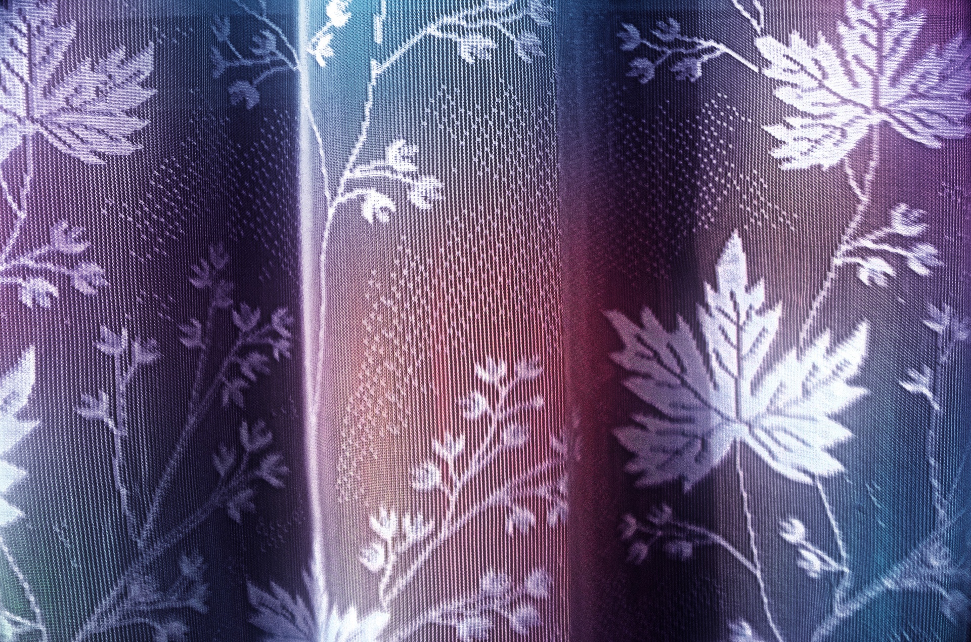 floral curtain screen free photo