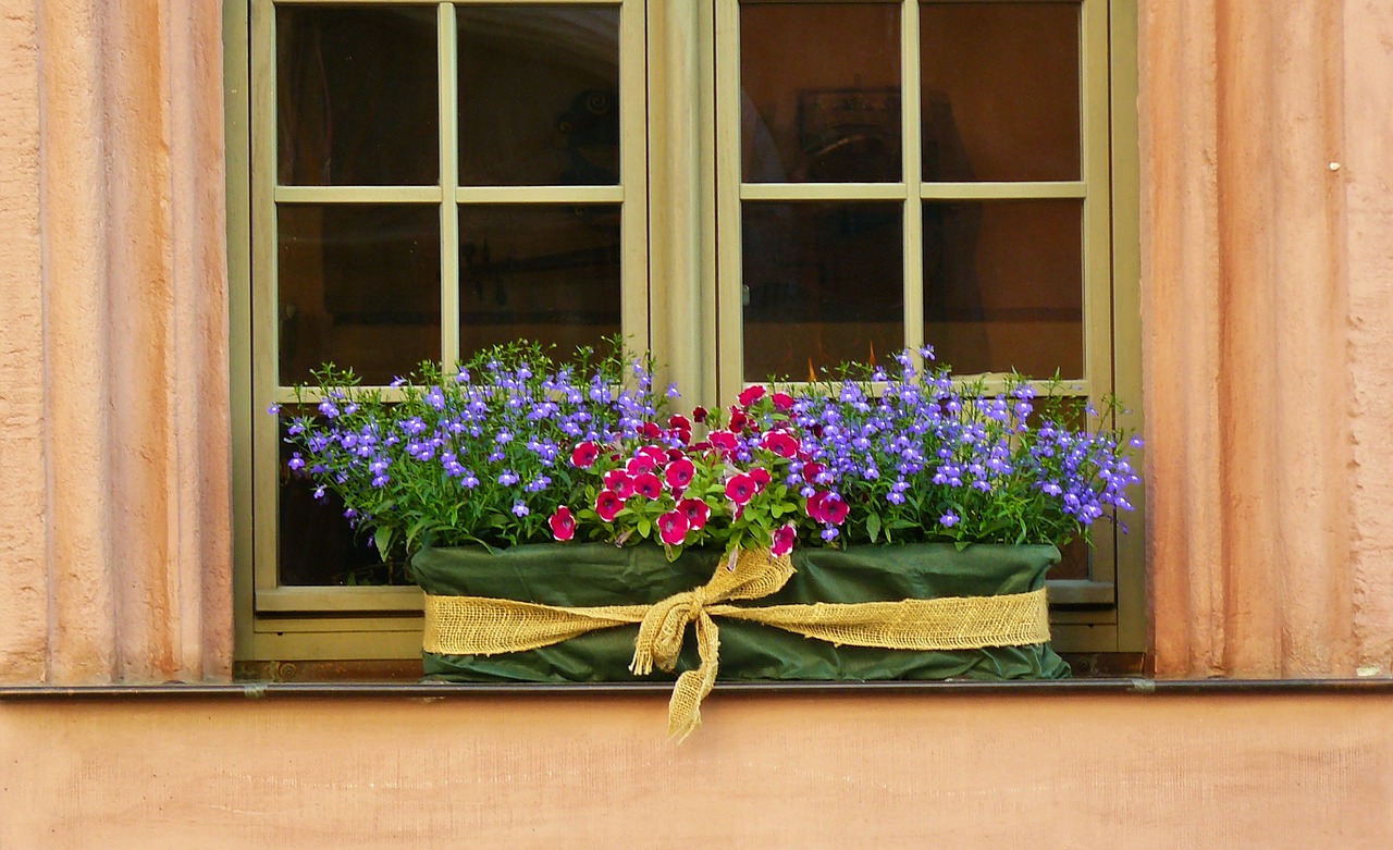 floral decoration window sill window free photo