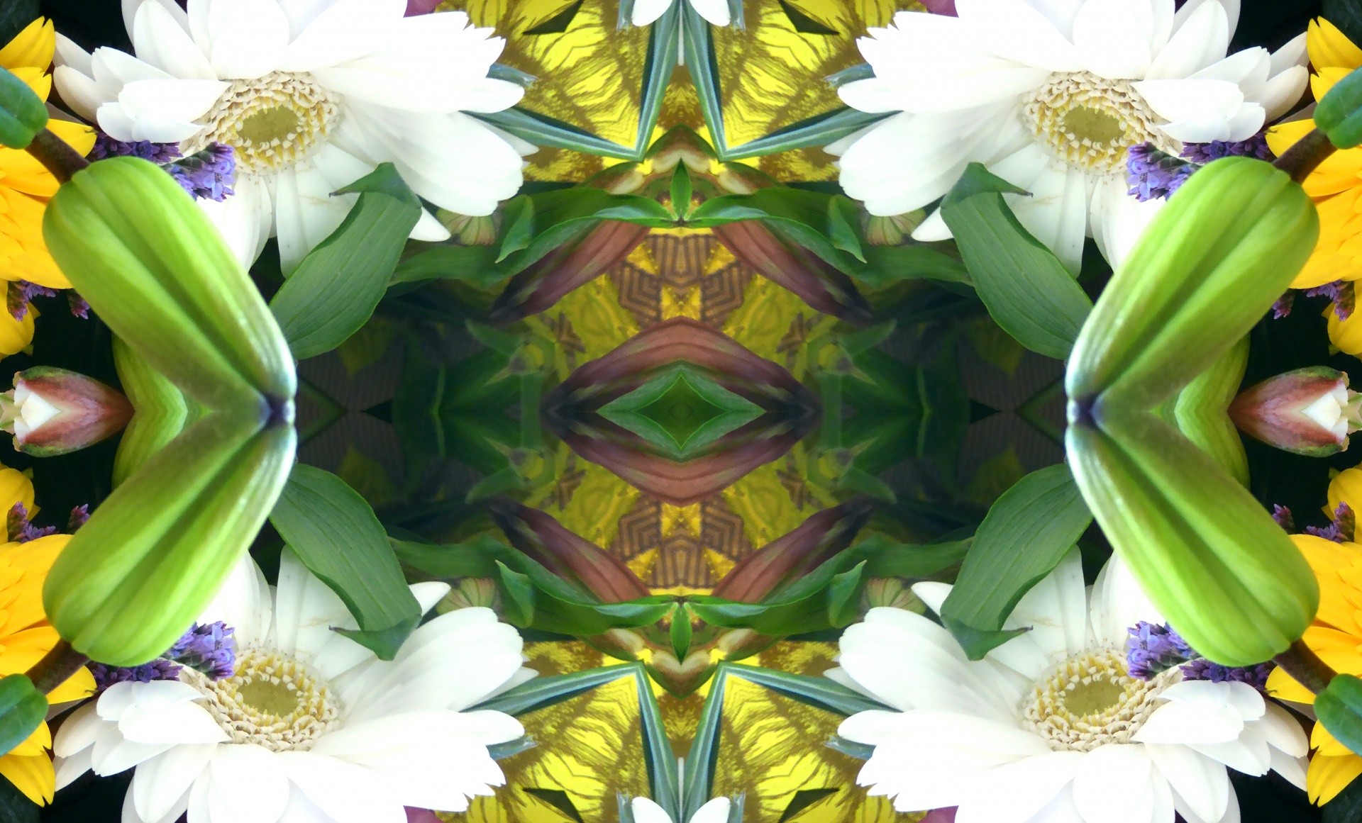 background wallpaper kaleidoscope free photo