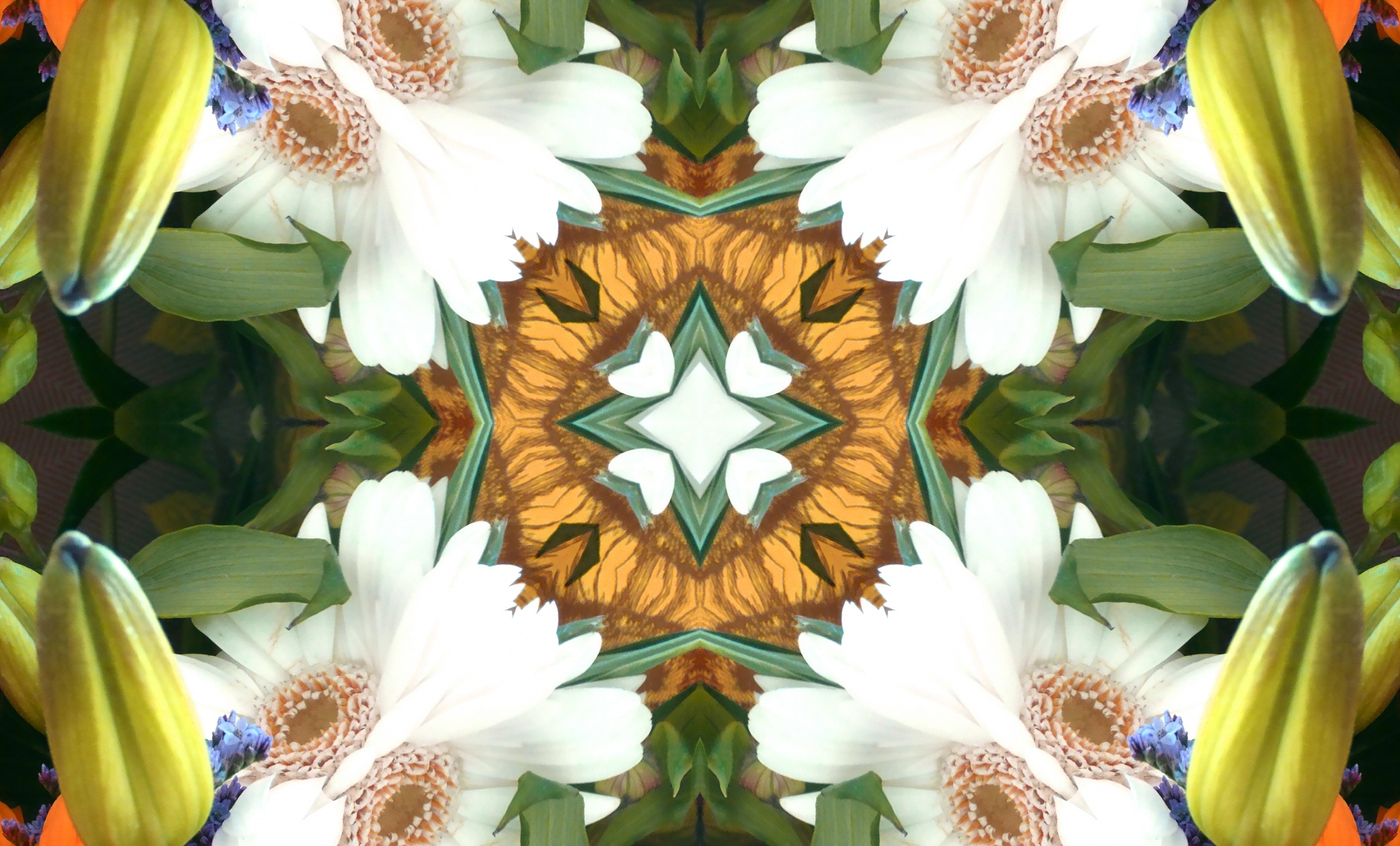 background wallpaper kaleidoscope free photo