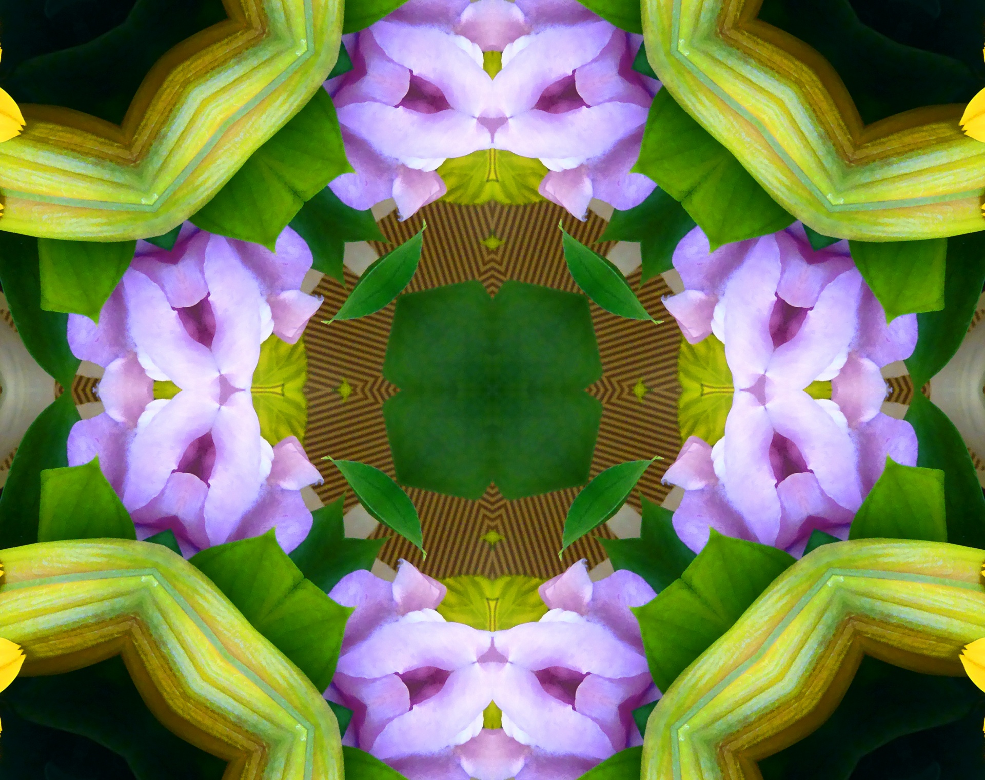 background wallpaper kaleidoscope free photo