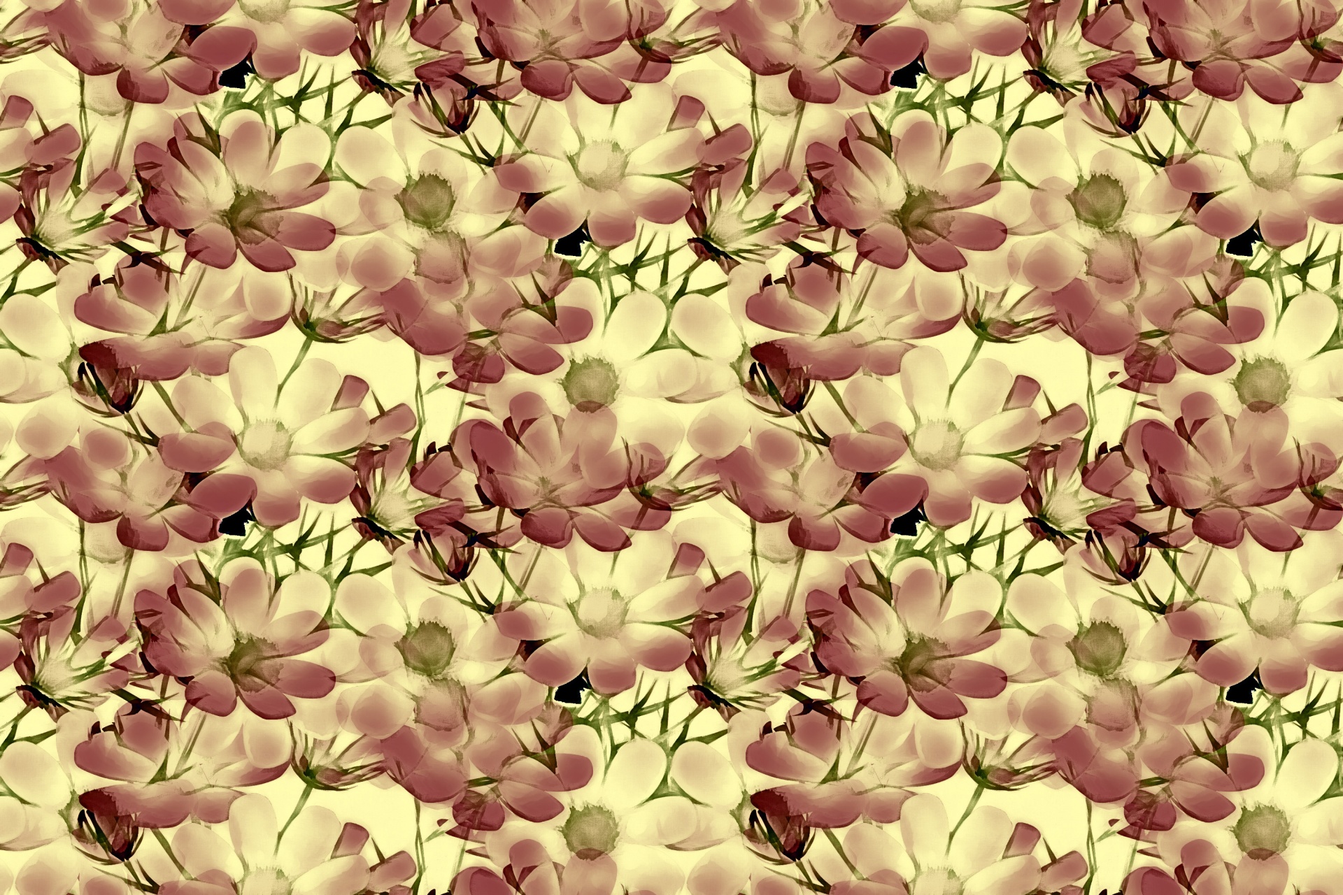 floral pattern design free photo