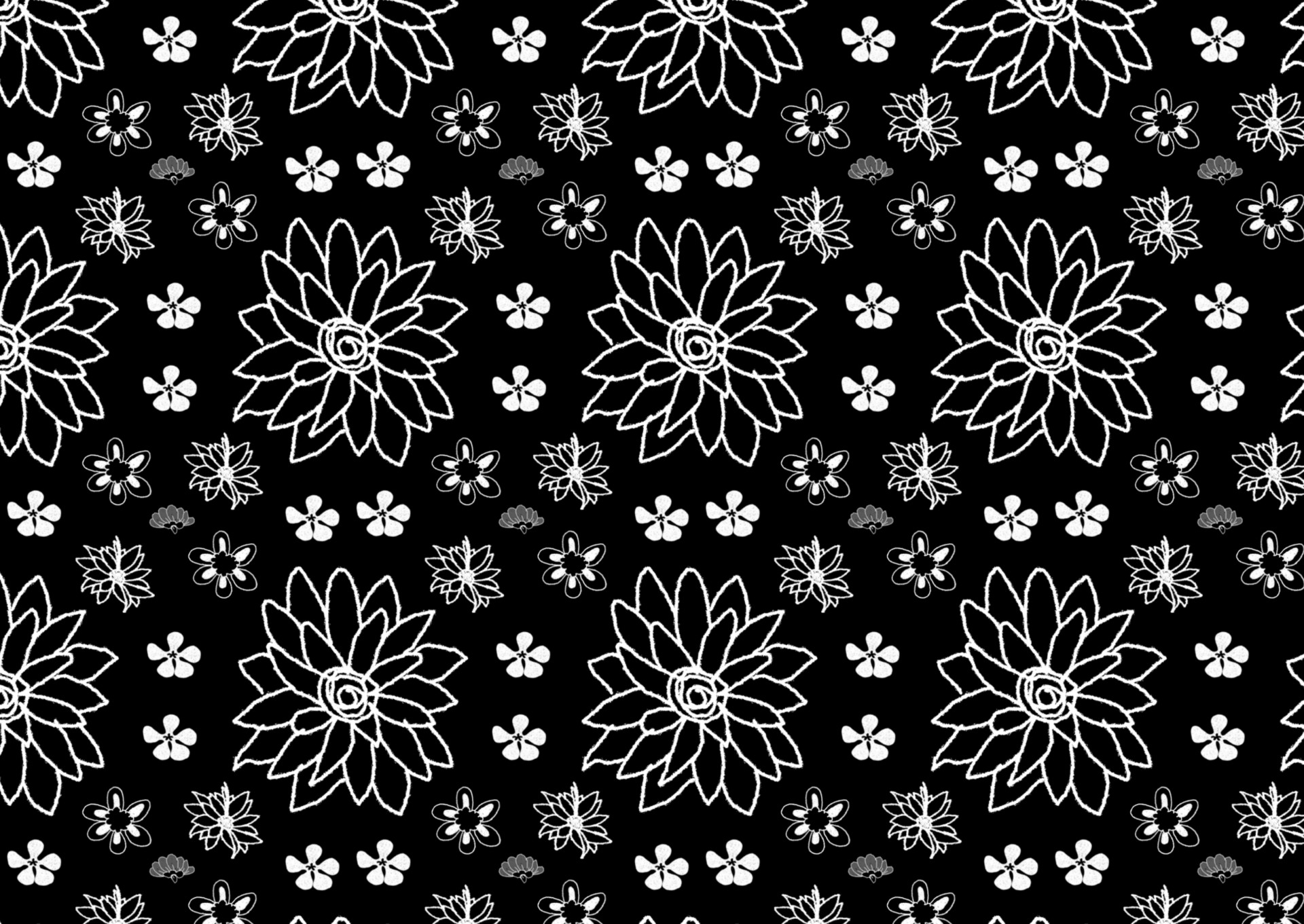floral sketch black white background floral sketch free photo