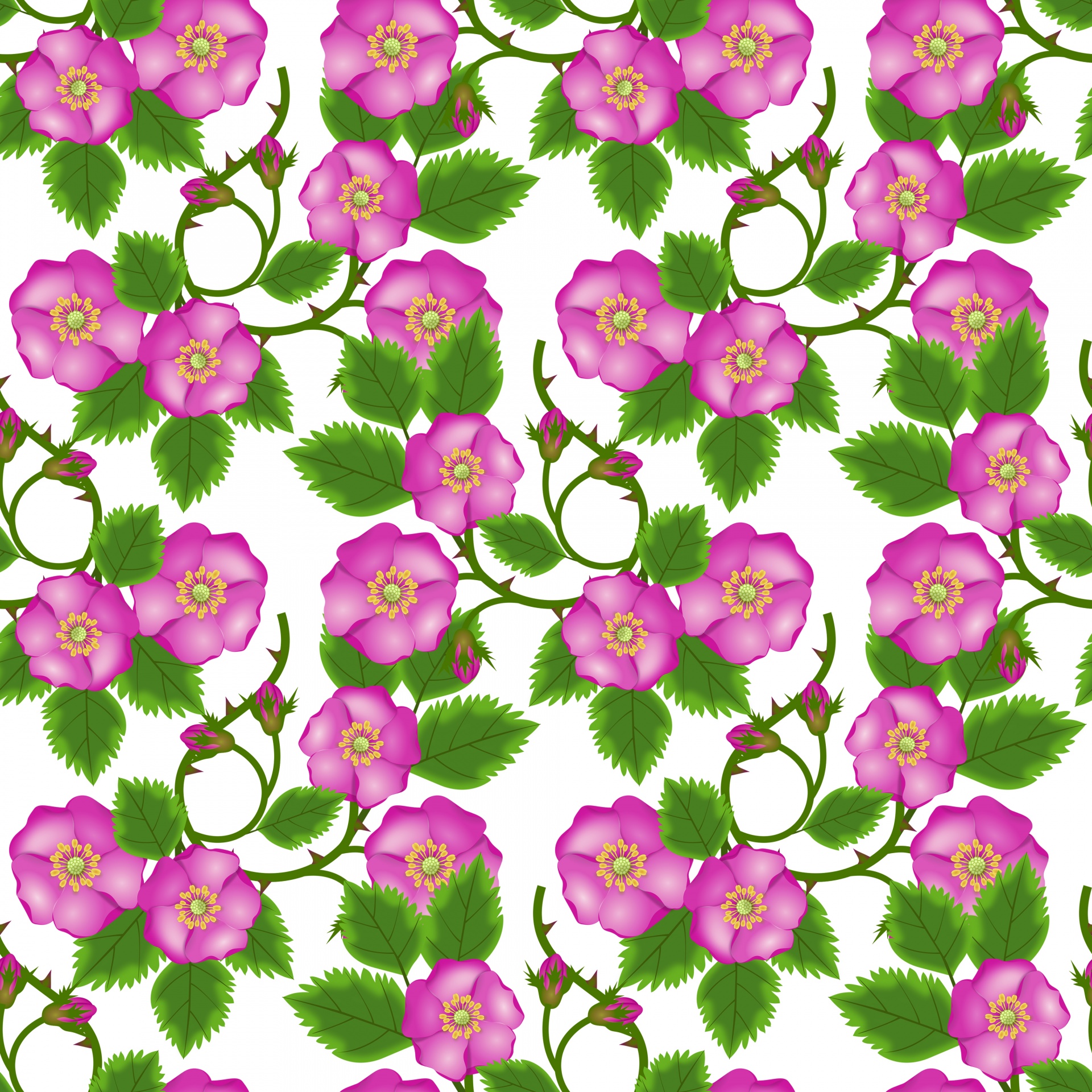 floral wallpaper pattern free photo