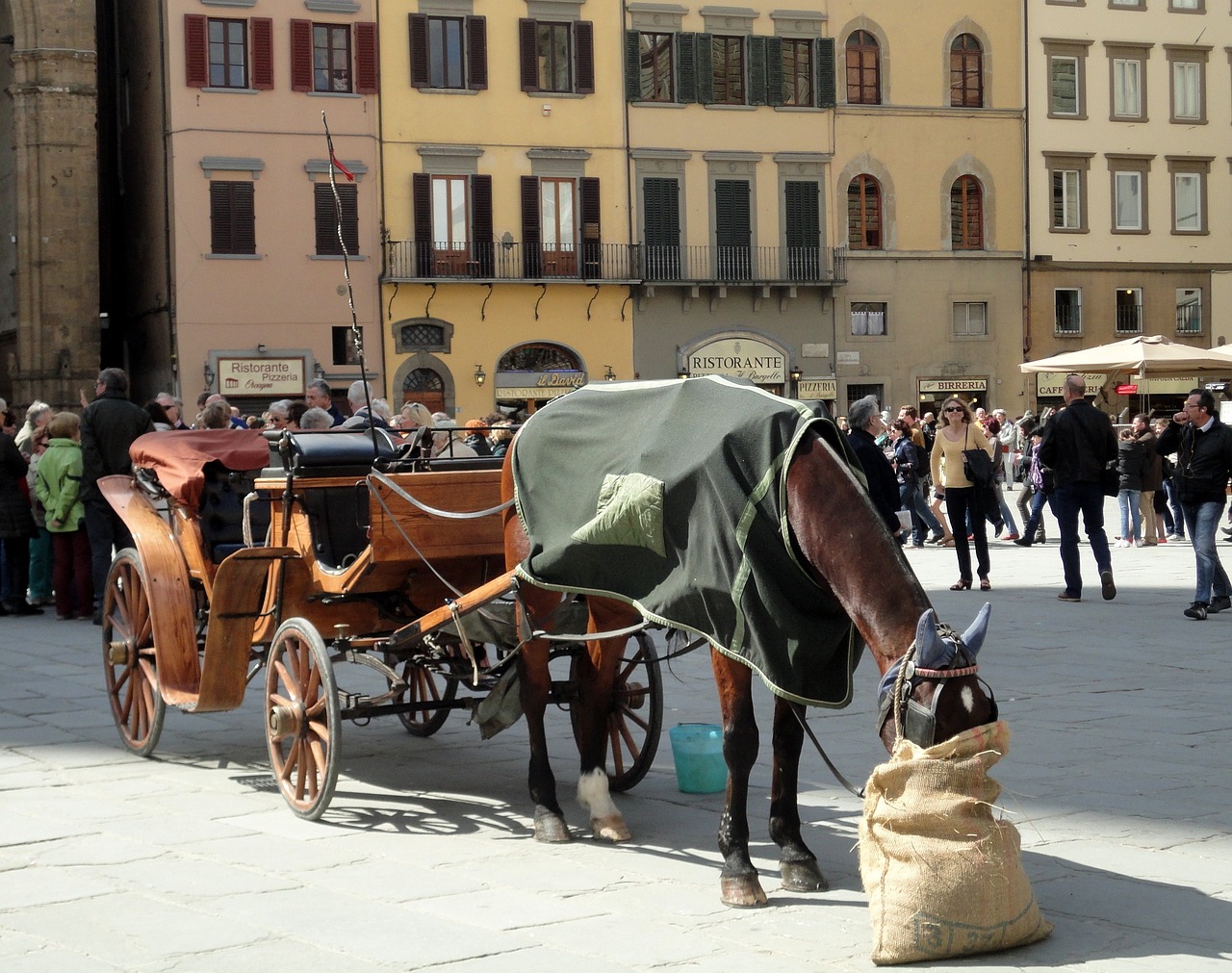 florence firenze italy free photo