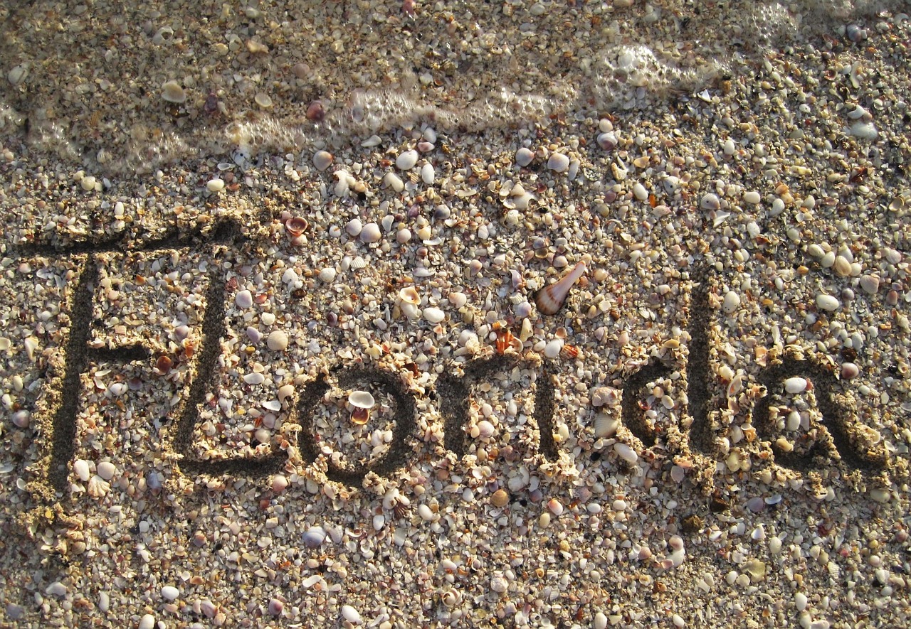 florida in sand painted beach free photo