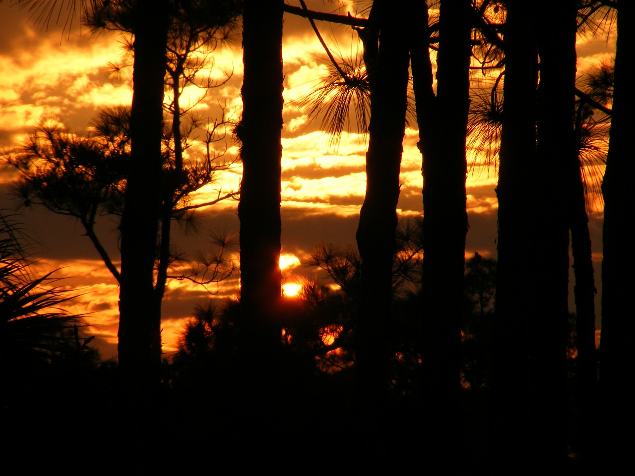 florida sunset sky free photo