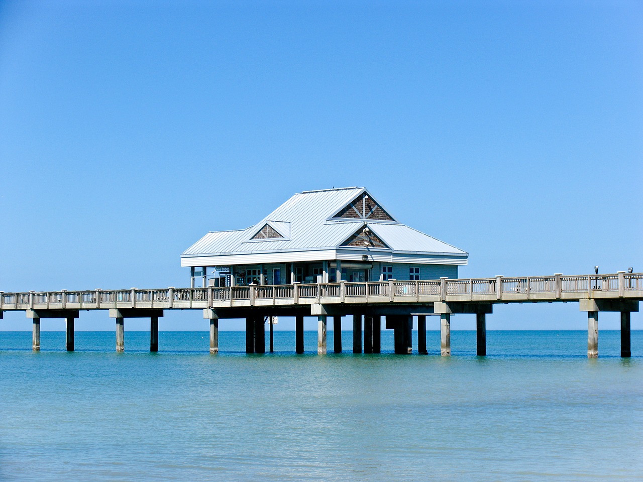 florida beach ocean free photo