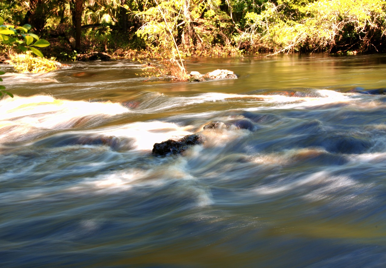 florida stream creek free photo