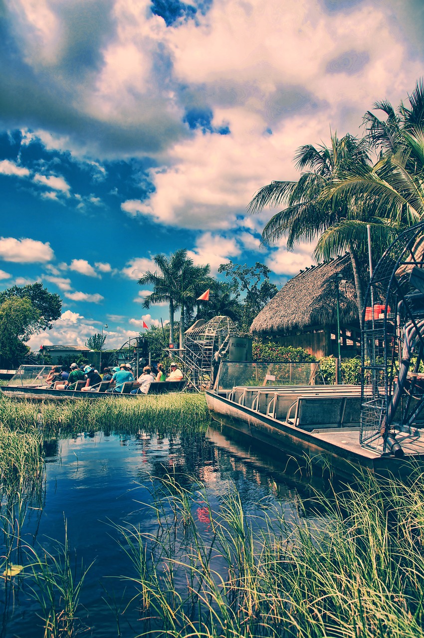 florida everglades miami free photo