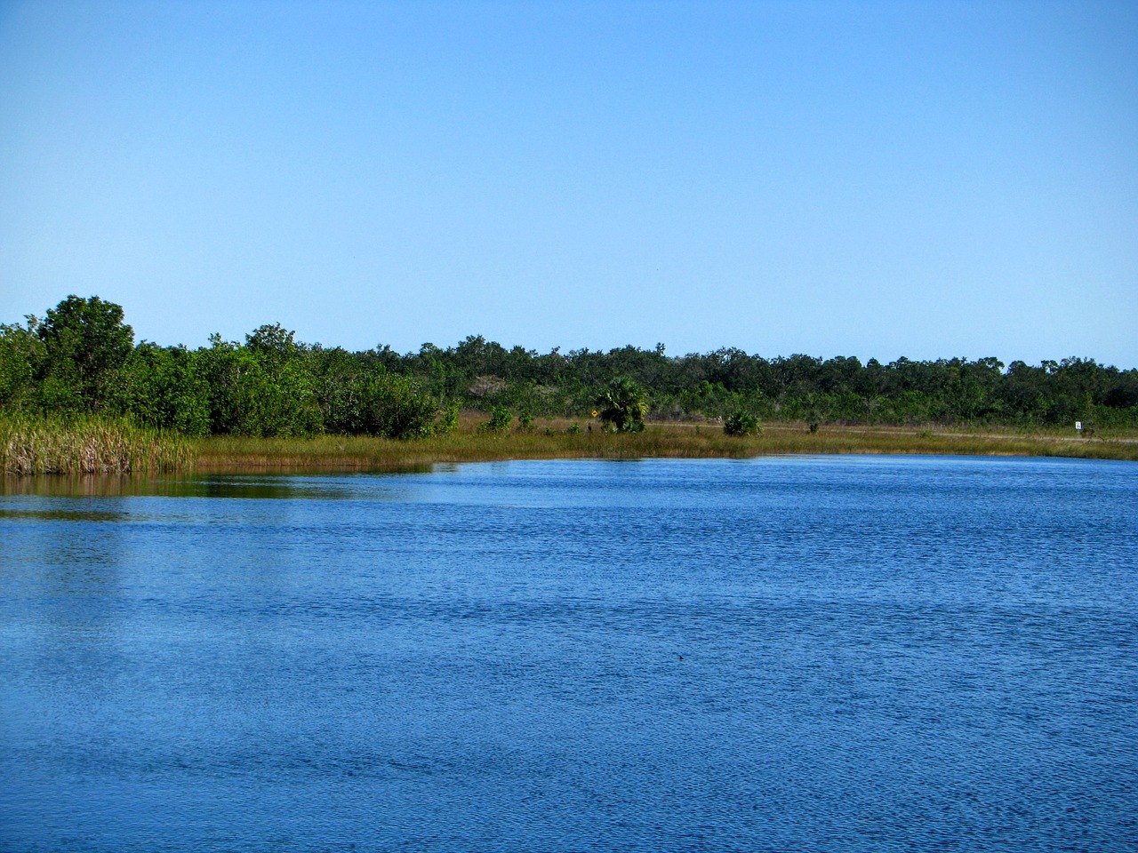 florida lake view free photo