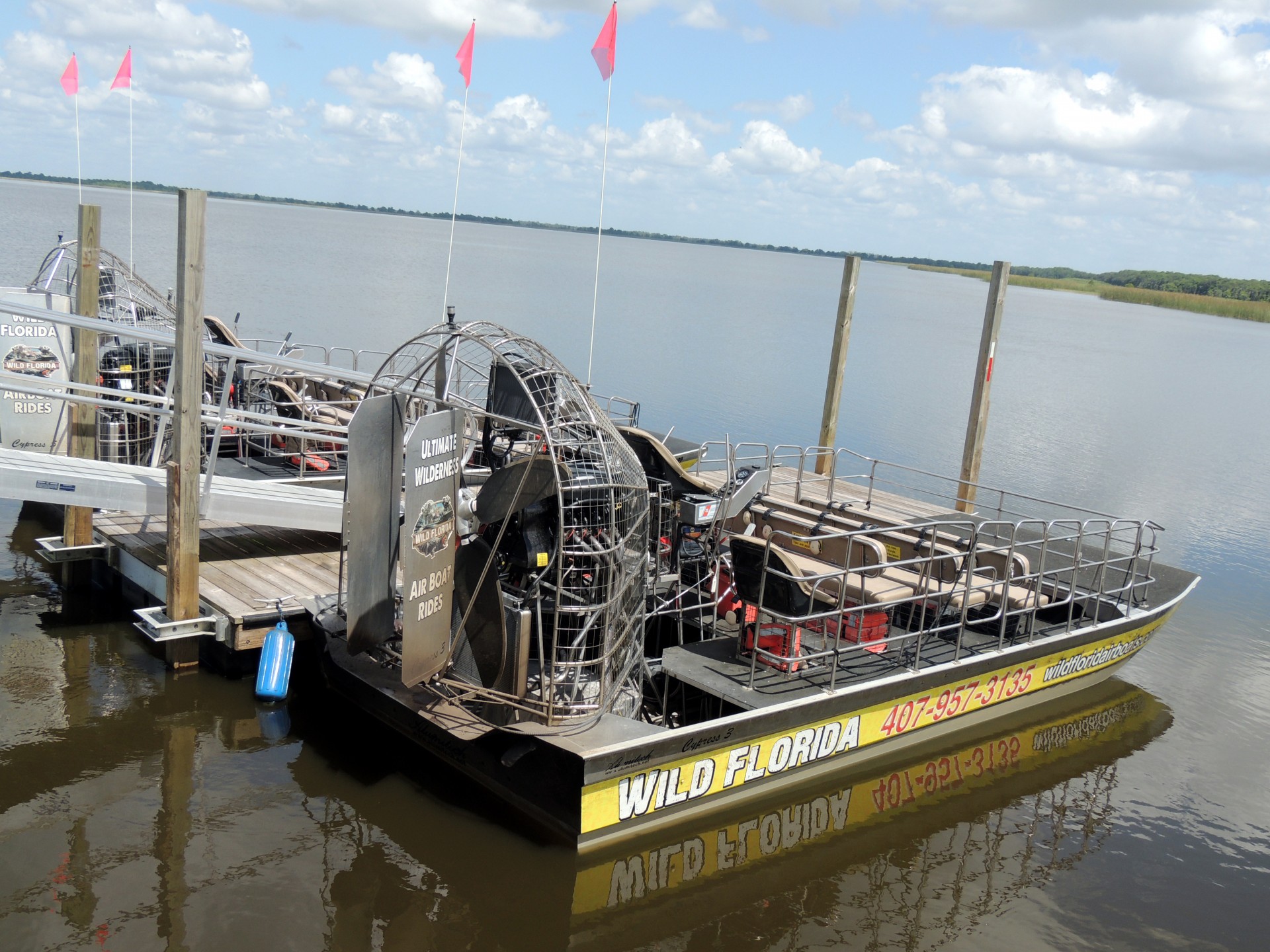 florida swamp bayou free photo